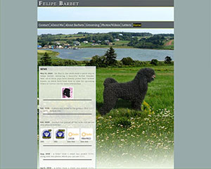 website