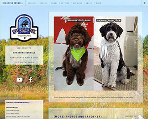 website